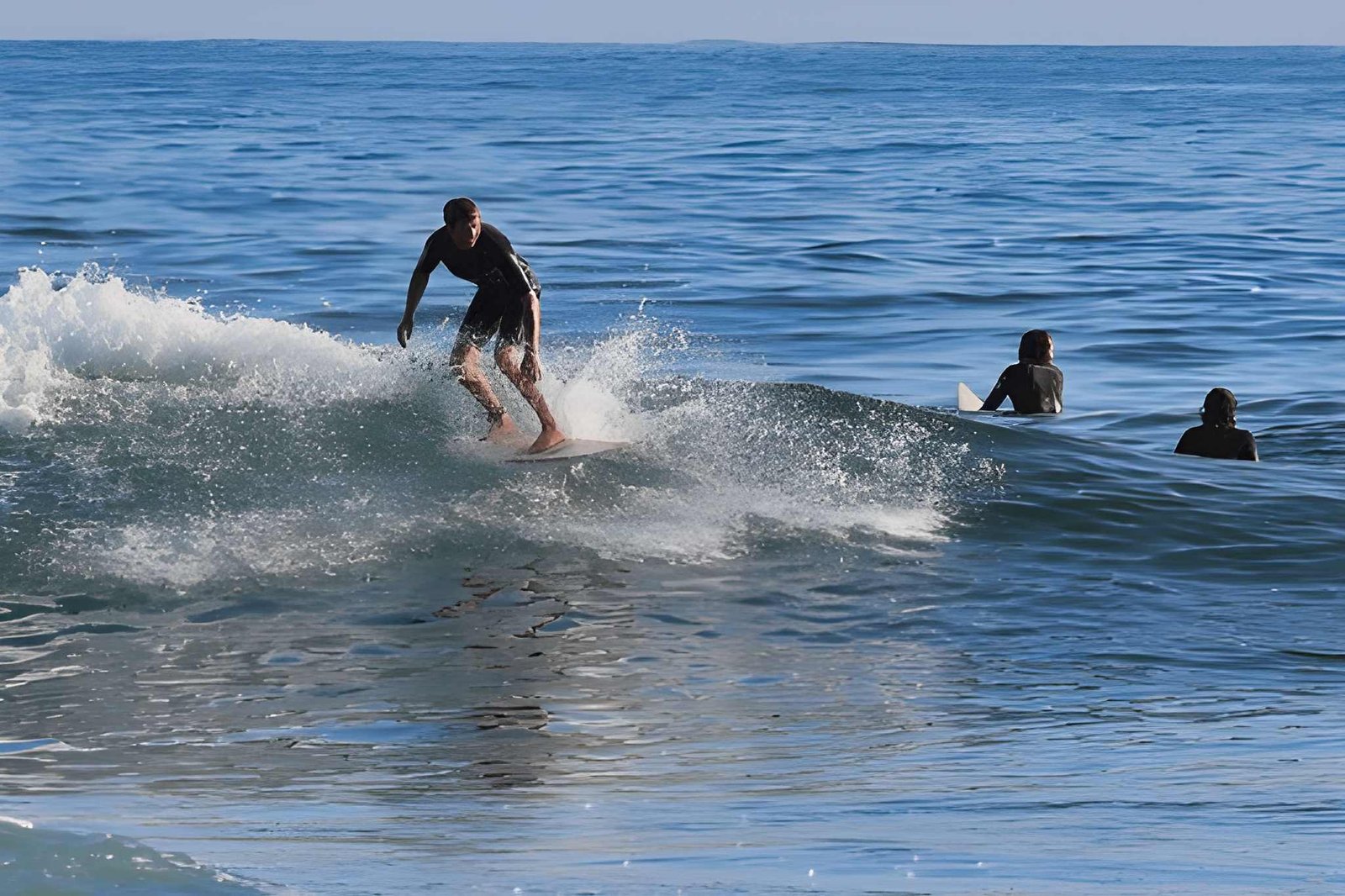 steptodown.com556384