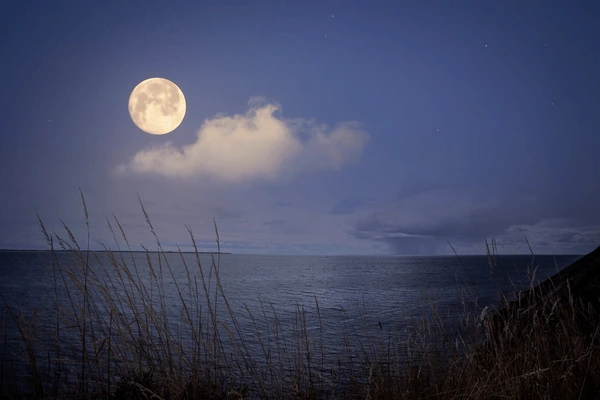 full-moon-over-sea-sparkling-stars-600nw-2095340575