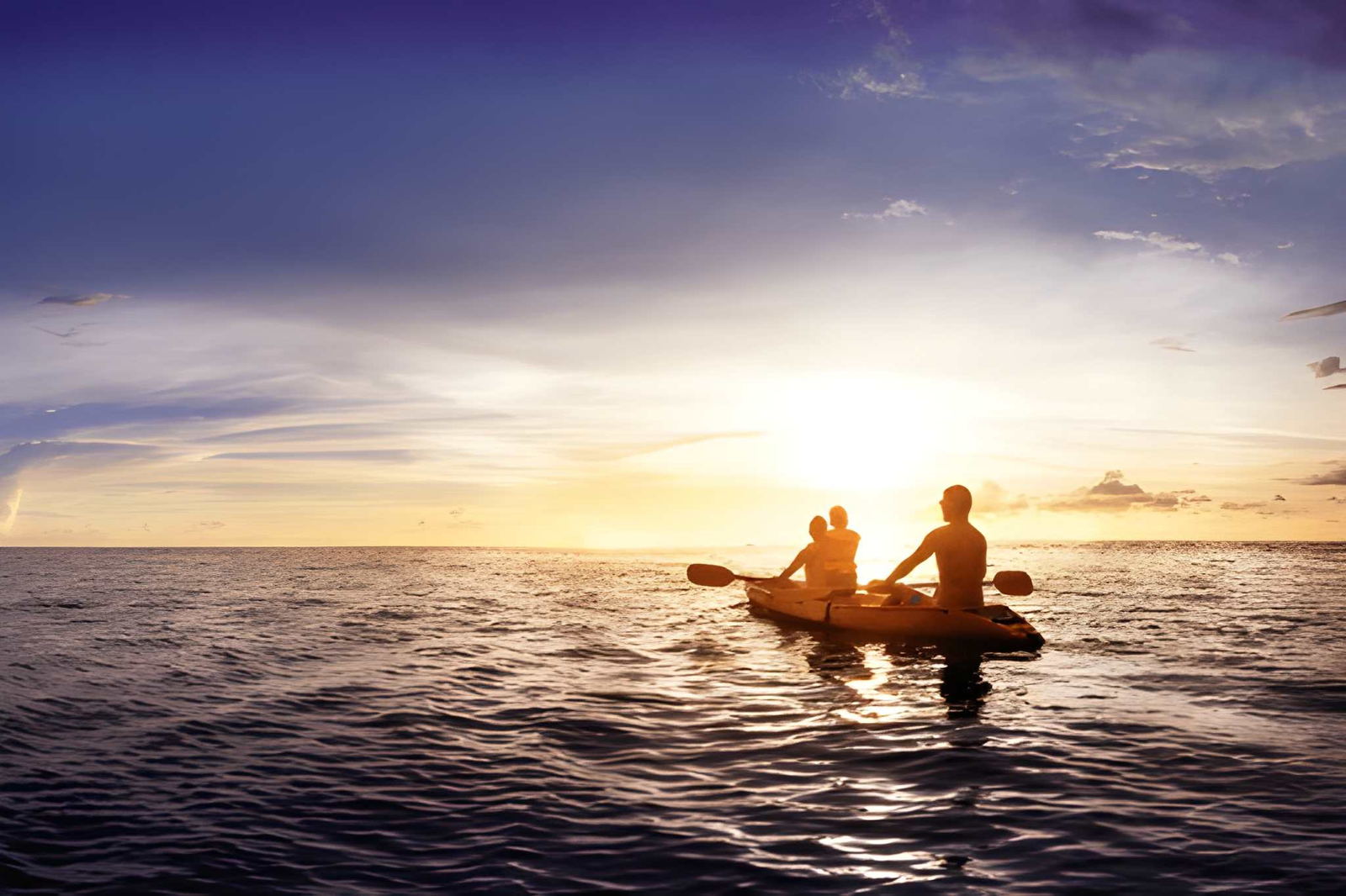 steptodown.com959389